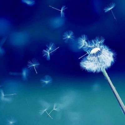 bet体育365官网正规手机app下载